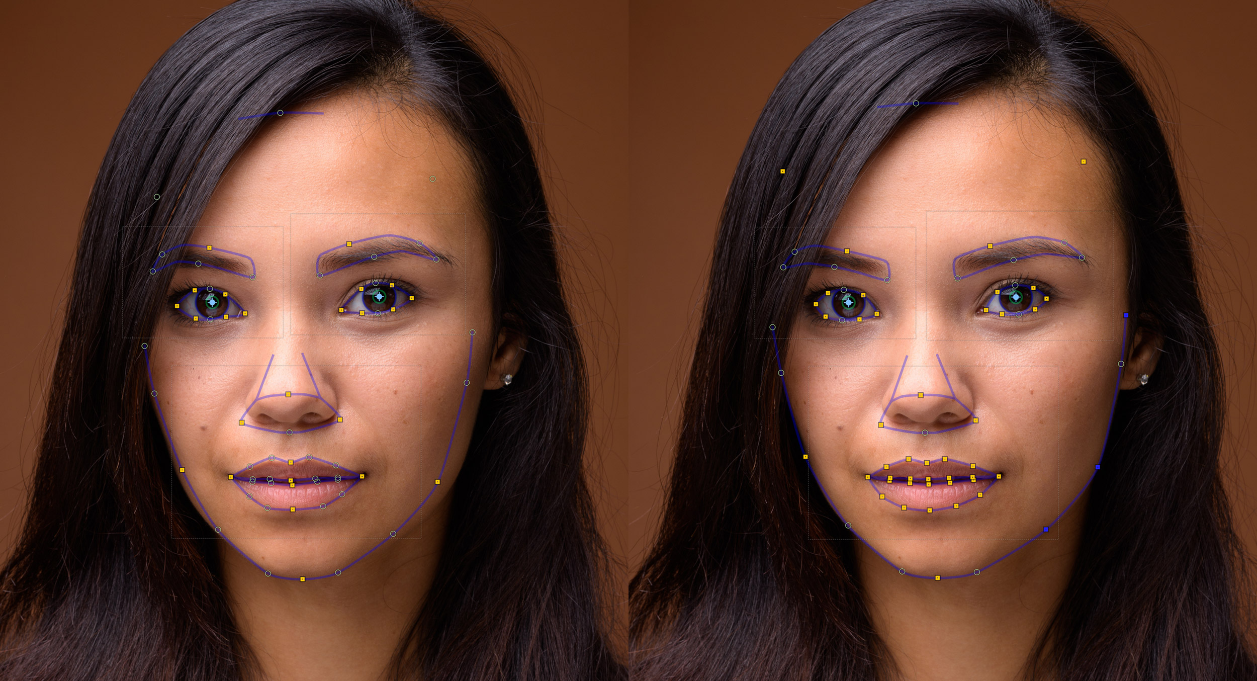 Advanced Image Recognition